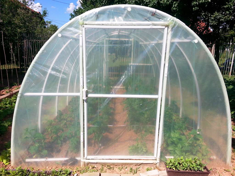 The advantage of such a greenhouse is its mobility: if desired, the dome can be moved to a sunnier place. If you make the structure so that it can be disassembled, it will be very convenient at all: you will not worry about the site during your absence in winter
