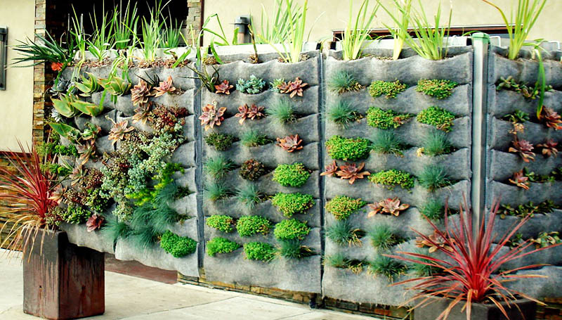 Użyj niezwykłych fitomodułów na ścianę. Są to kieszenie, w których można sadzić małe rośliny i zioła.
