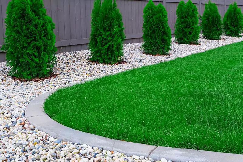 What can be done in the fall for a beautiful lawn