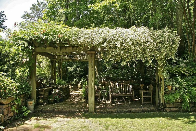 A place to relax in the country with jasmine on a pergola