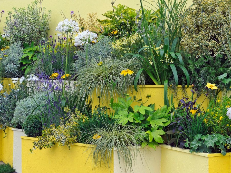 Layered flower bed with yellow and white sides