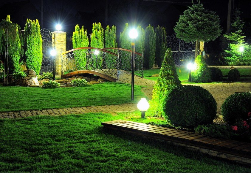 Lampy LED w ogrodzie z roślinami iglastymi