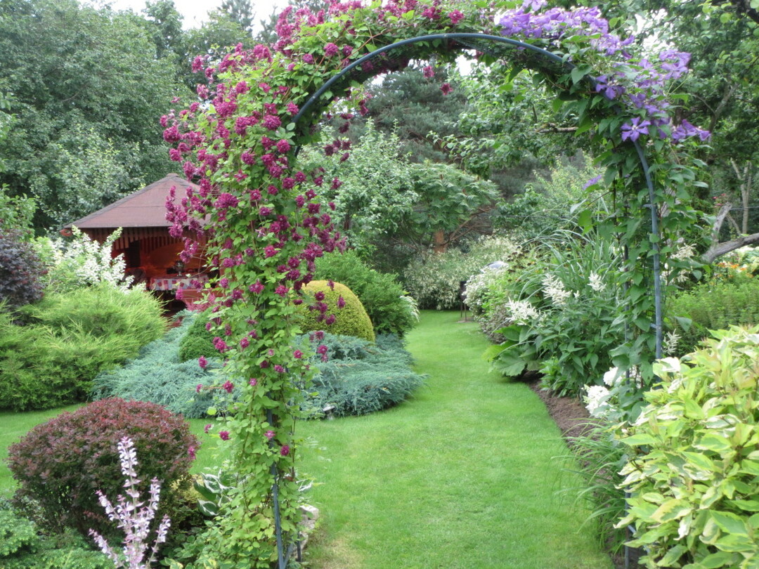 Dārza arka un lapene: dekoratīvi elementi no metāla un koka