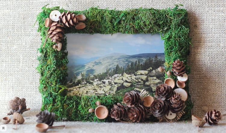 You can also use moss and sisal to decorate your photo frame