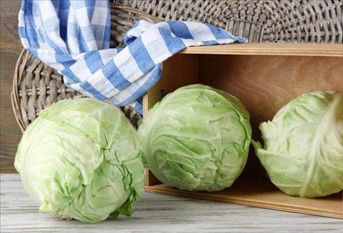 How to store cabbage in an apartment and a cellar?