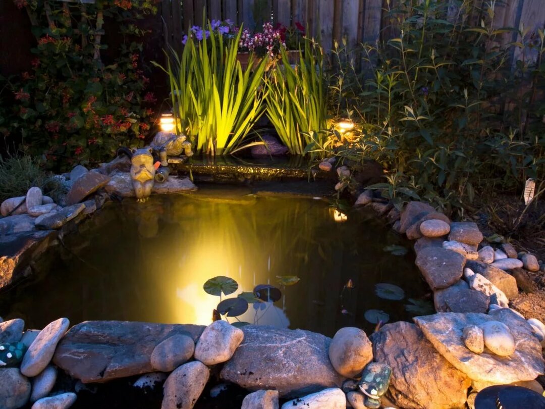 Decorative pond with beautiful lighting