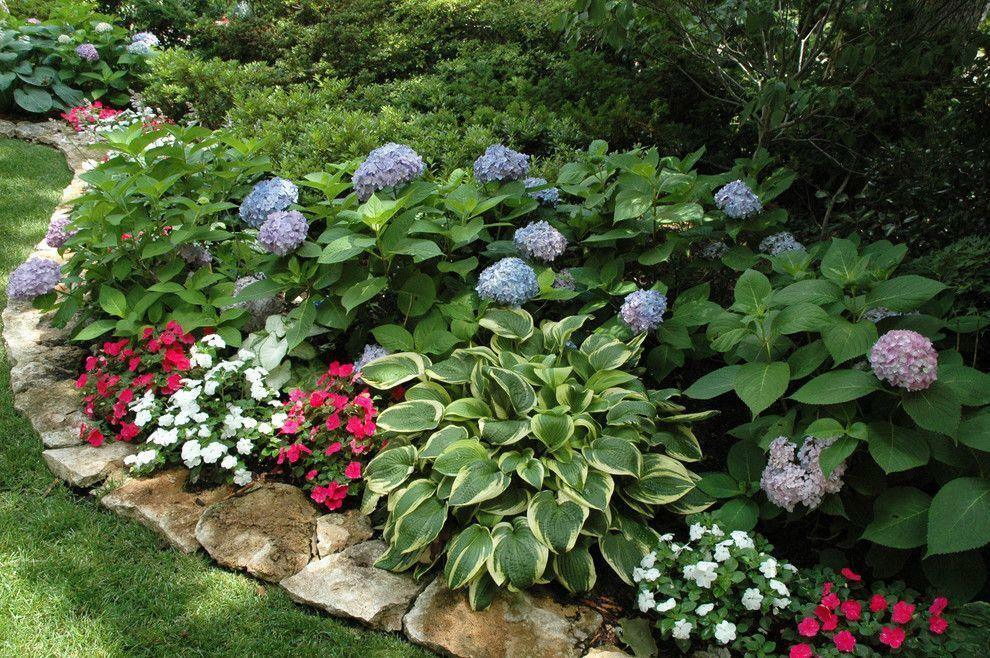 Place for hydrangeas in a shady corner of the garden