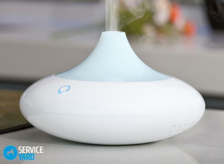 Air humidifier with ionizer