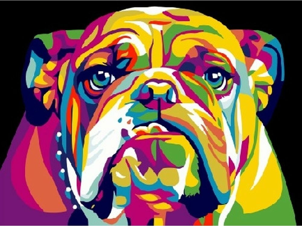Festés szám szerint " Pop Art Bulldog"