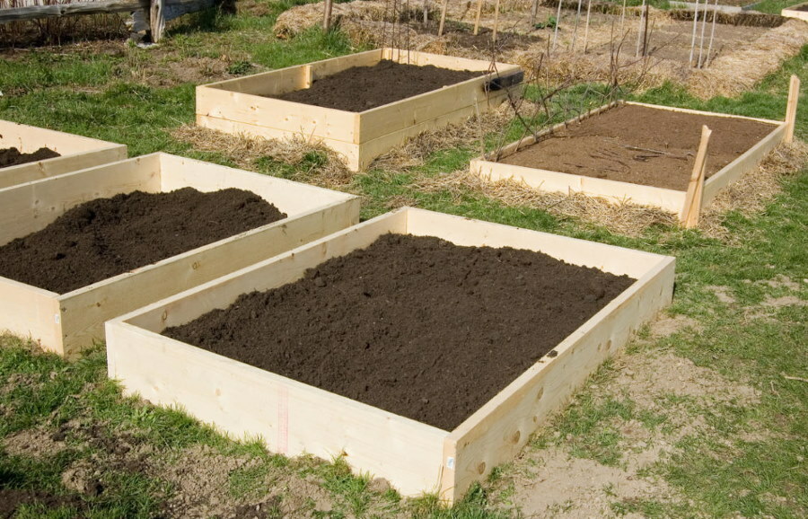Wypełnianie drewnianych łóżek pożywną glebą