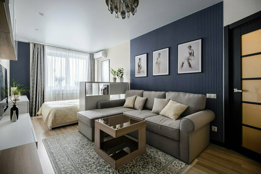 Color zoning of a one-room apartment