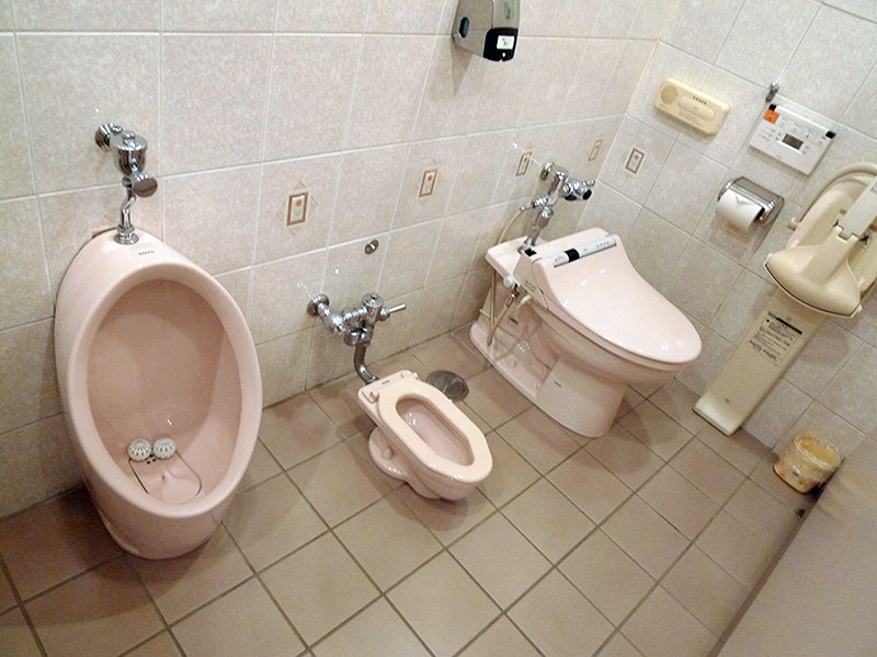 Drukspühlers sú obzvlášť obľúbené na verejných miestach, kde je veľa návštevníkov a vypúšťacie nádrže jednoducho nemajú čas naplniť. Tento systém je navyše univerzálny: hodí sa na toaletu aj na pisoár.