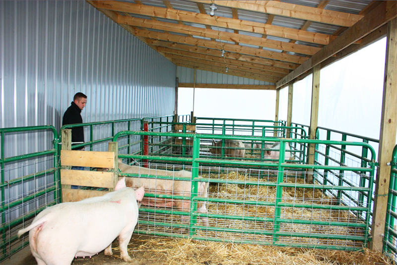 En praktisk bygning vil være der taket på grisehuset har en logisk fortsettelse i form av en baldakin over paddocken