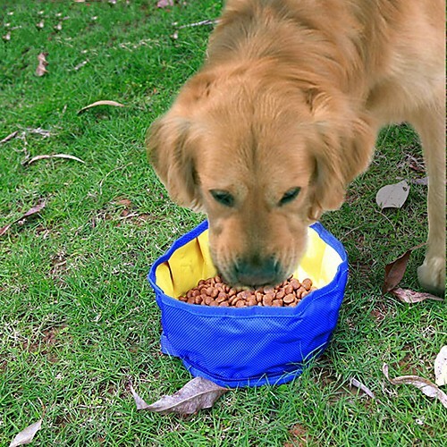 Dogs Bowls & Water Bottles Pet Bowls & Feeding Water Resistant Blue