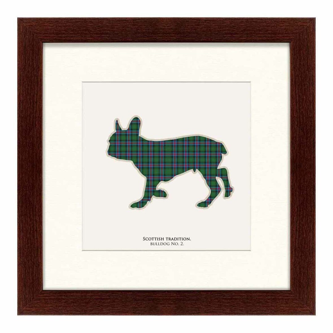 Maling av bilder i leiligheten Bulldog i et skotsk bur 35 x 35 cm