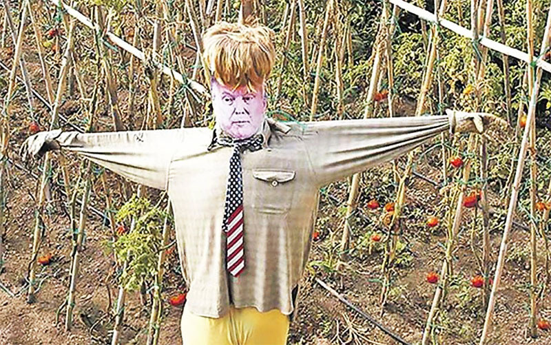 You can also express your political views or attitude towards higher management by making scare sculptures in the garden. It can be a kind of psychotherapy that will boost your mood and self-esteem.