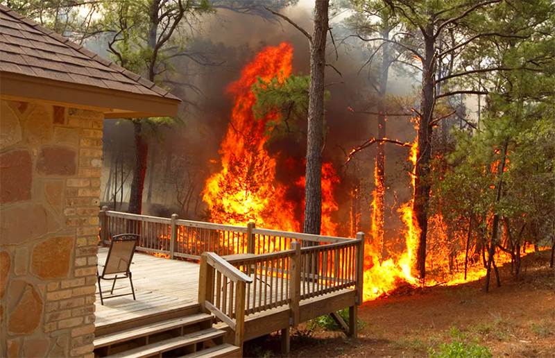 Právě vysoké stromy na okraji lokality jsou často dalším zdrojem šíření ohně.