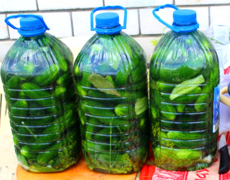 Saltning af agurker i en fem -liters picnicbeholder - det kunne ikke være lettere