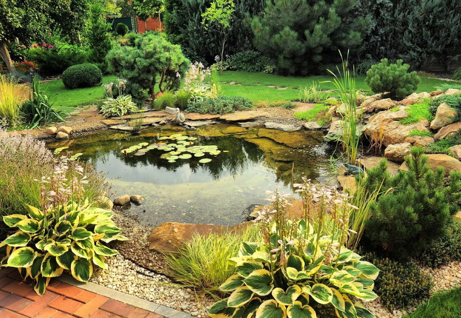 Natural style pond in the garden