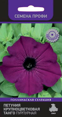 Graines de Pétunia à grandes fleurs. Tango violet, 15 pièces