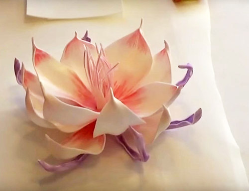 İç dekorasyon için İzolona çiçekleri - başyapıtların fotoğrafı
