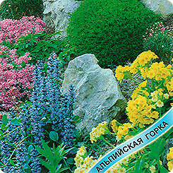 Nasiona Mieszanka dekoracyjna Zjeżdżalnia alpejska, 0,1 g Gavrish