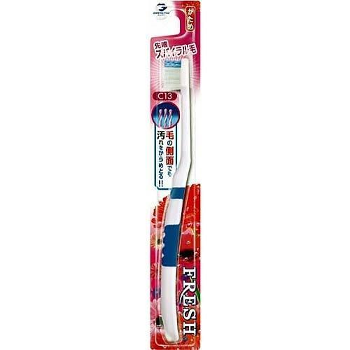 Compacte tandenborstel met spiraalborstels, stijf Dentalpro Fresh