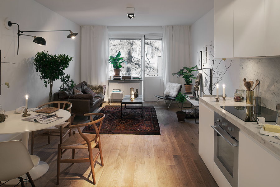 Skandinaviško stiliaus studijos tipo apartamentai