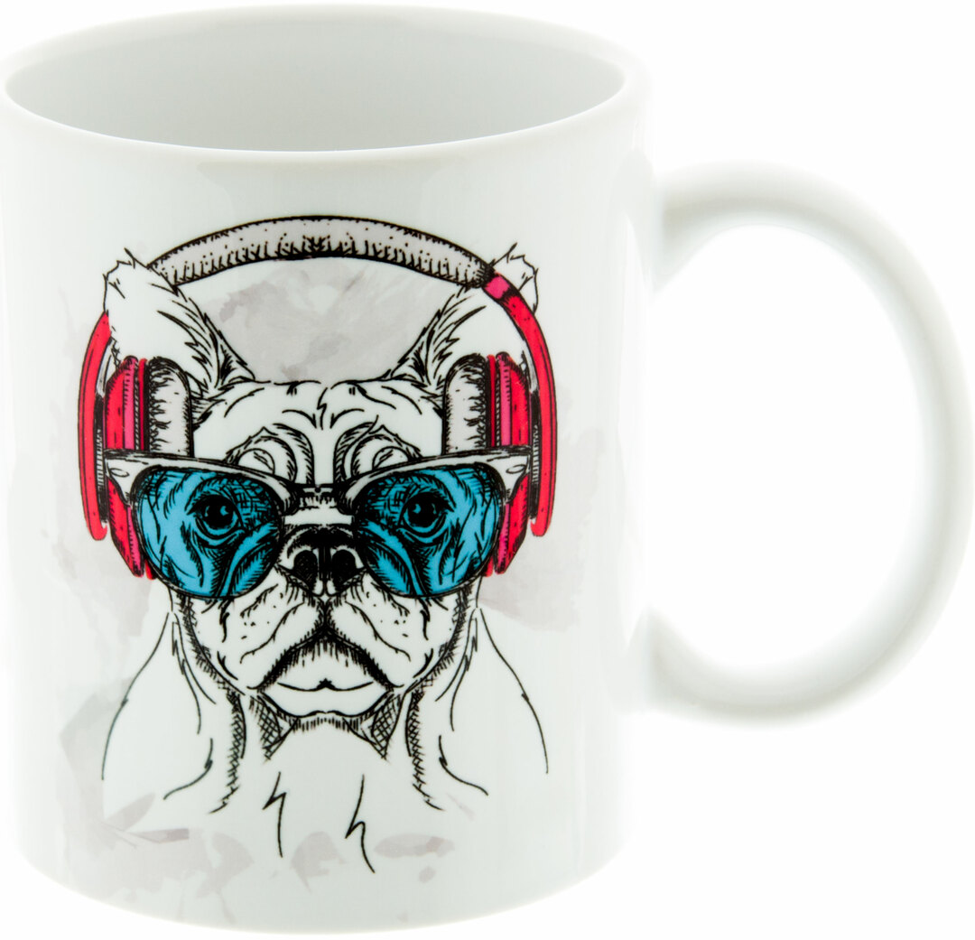 Bulldog dog: prices from 37 ₽ buy inexpensively in the online store