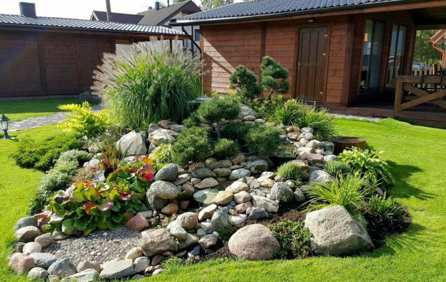 Un piccolo giardino roccioso sul prato di una zona suburbana