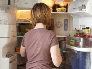 Kühlschrank " Know Frost" - hält Lebensmittel frisch und spart Zeit, Bedienung und Bewertungen
