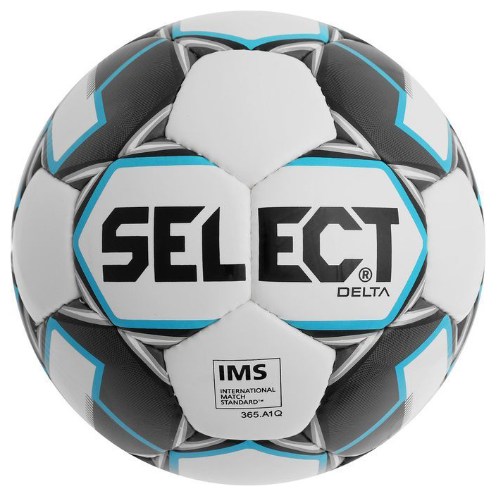 Select Delta soccer ball, size 5, TPU, hand-stitched, 32 panels, 815017-009