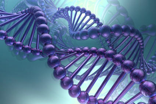 Topp 10 fantastiske fakta om DNA