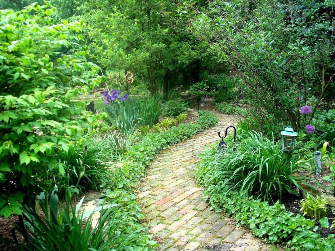 Bakstenen pad in de oude tuin