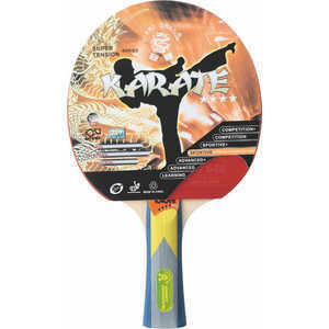 Tischtennisschläger GIANT DRAGON KARATE ST12401