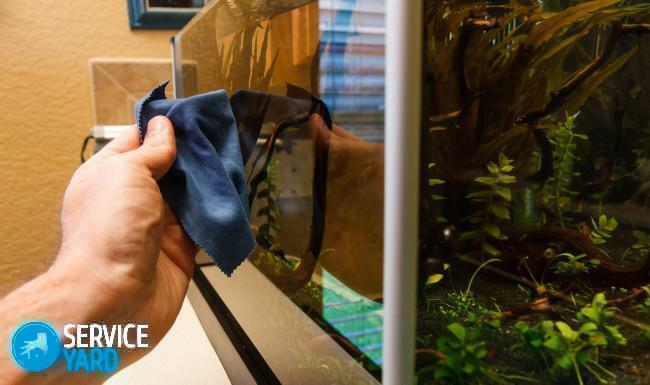 Hoe het glas in een aquarium schoon te maken?