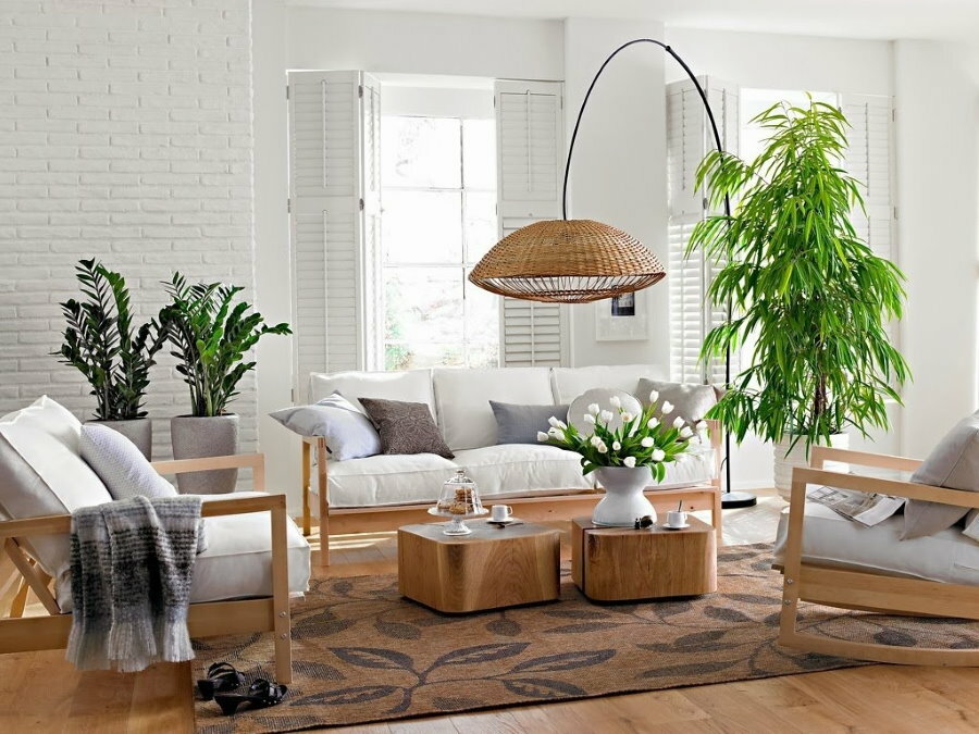 Plantas vivas no interior de um apartamento em casa de painel