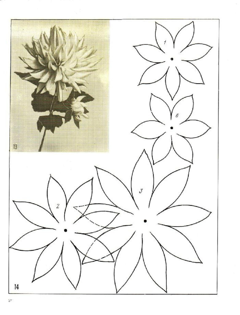 50 šablon in vzorcev za izdelavo papirnatih rož