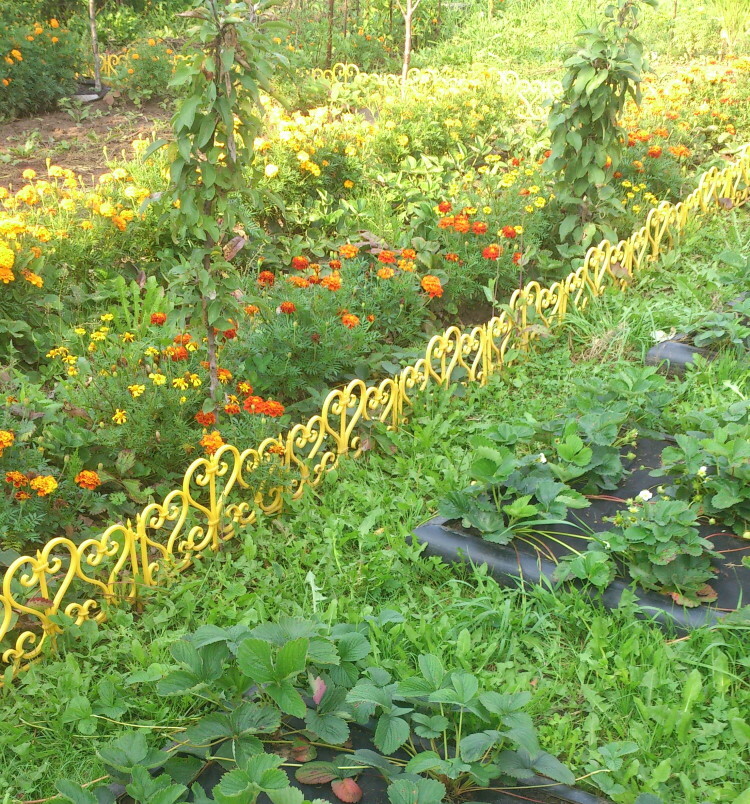 Openwork plastic fence in a private garden