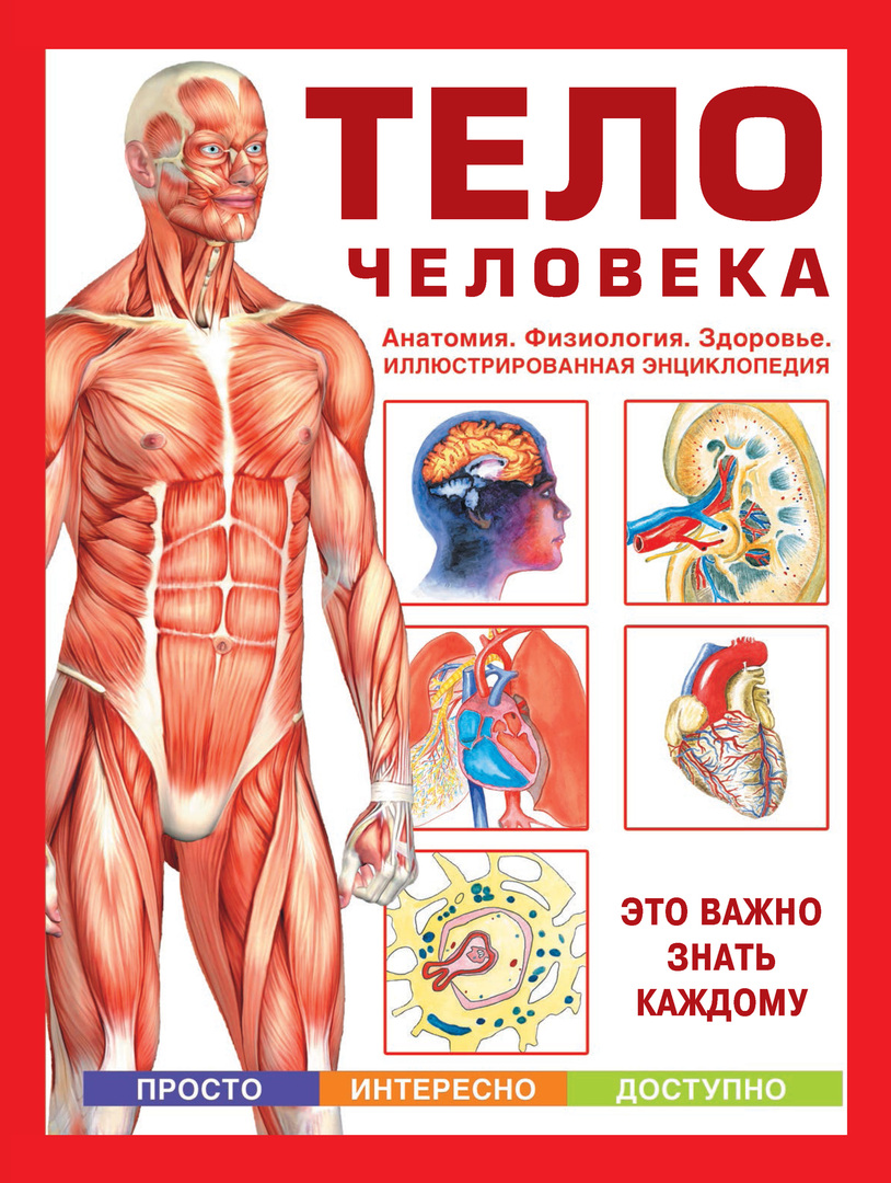 O corpo humano. Anatomia. Fisiologia. Saúde