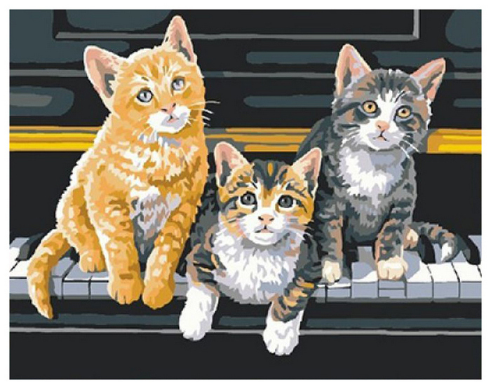 Peinture par numéro DIMENSIONS Trio musical DMS-91144 36x28 cm