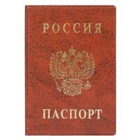 Passport cover, vertical, brown