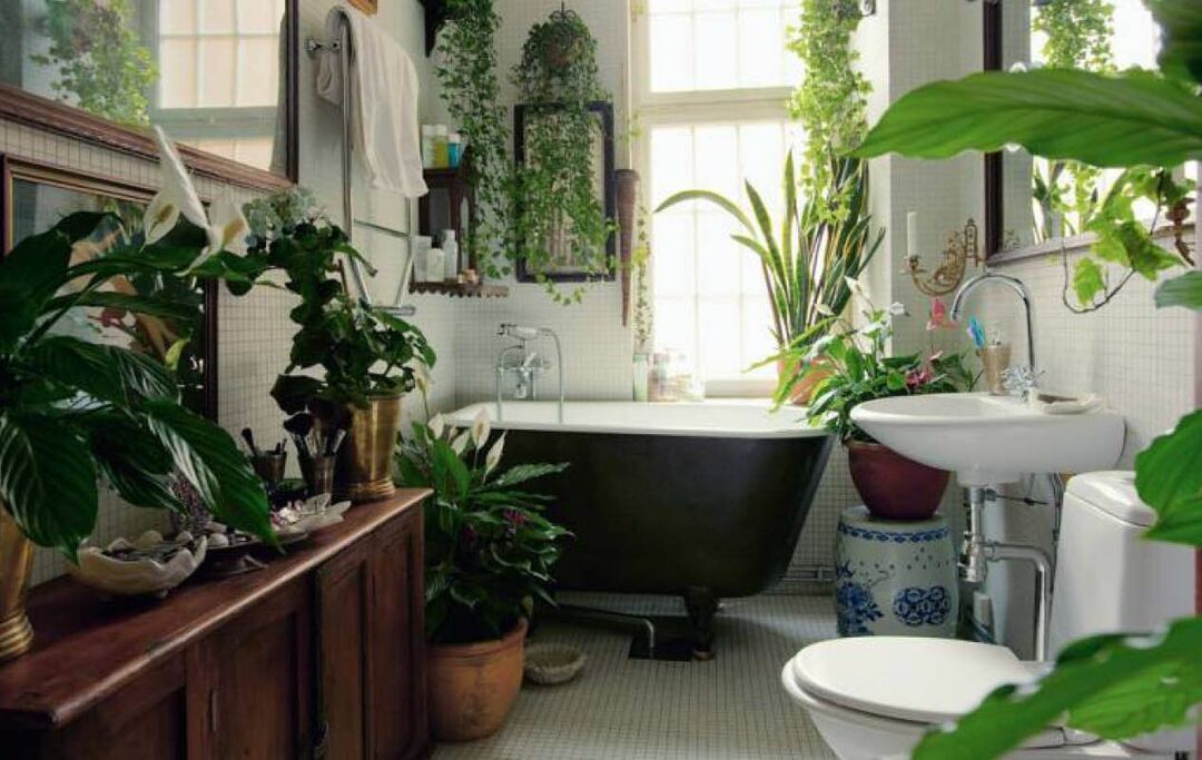 Décor plantes salle de bain dans la maison