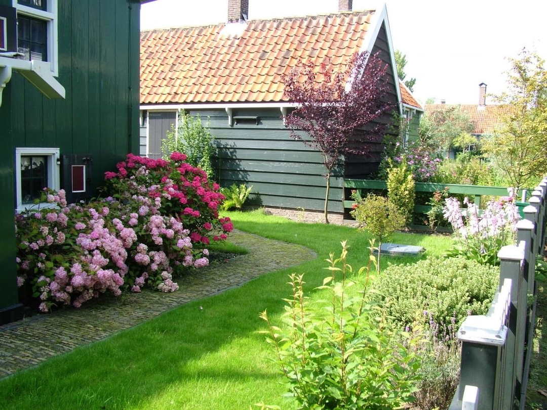 Rosenbüsche entlang Hauses zum Gartengrundstück im niederländischen Stil