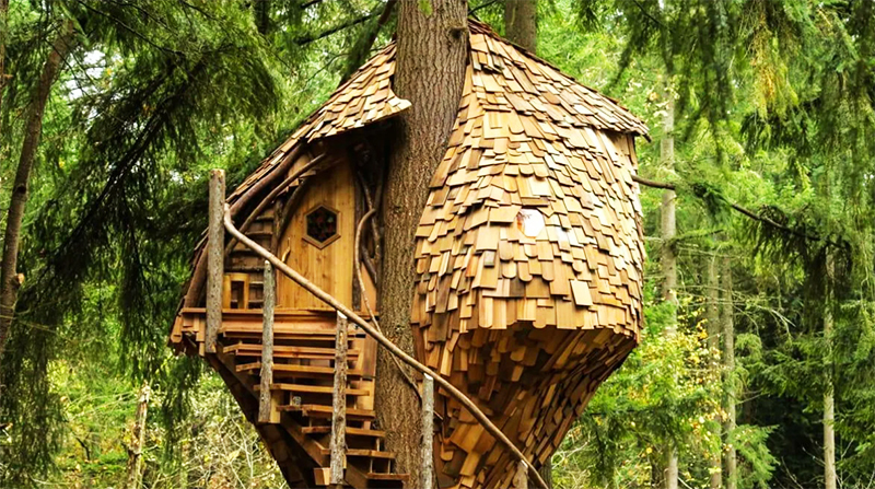 Jak postavit dům na stromě vlastníma rukama: rychle, efektivně a bezpečně