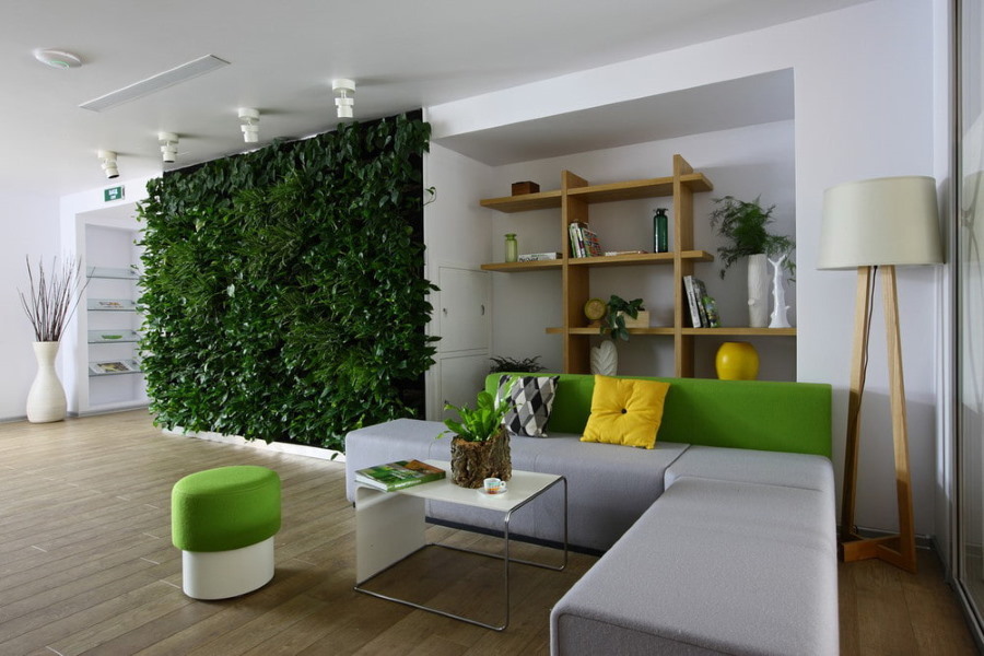Levende muur in een woonkamer in ecologische stijl