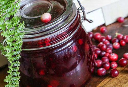How to store cranberries without losing useful substances at home?