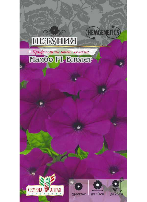 Petunia seemned kääbus Mambo Violet F1, 10 tk, Nemgenetics seemned Altai seemned