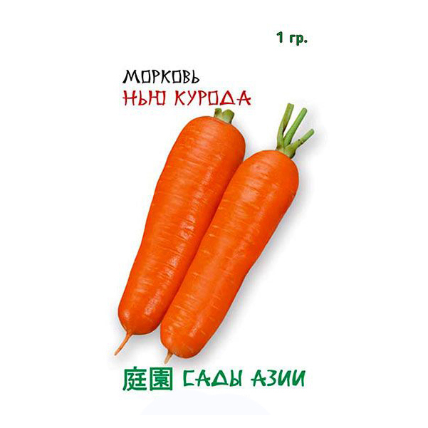 Naujos „Kuroda“ morkų sėklos, 1 g, Asia Gardens