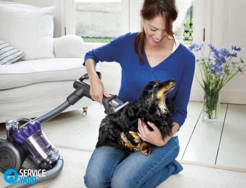 Vacuum cleaner for cleaning domestic animals?